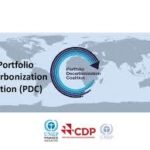 Decarbonising Portfolio: Developing the transition process towards decarbonisation